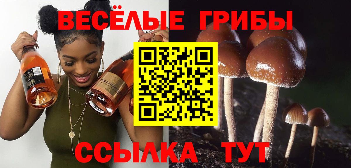 Усинск  закладки  Вход с VPN  Галлюциногенные грибы ЛСД 